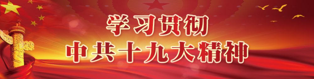 学习贯彻中共十九大精神 学习贯彻中共十九大精神