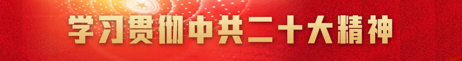 学习贯彻中共二十大精神